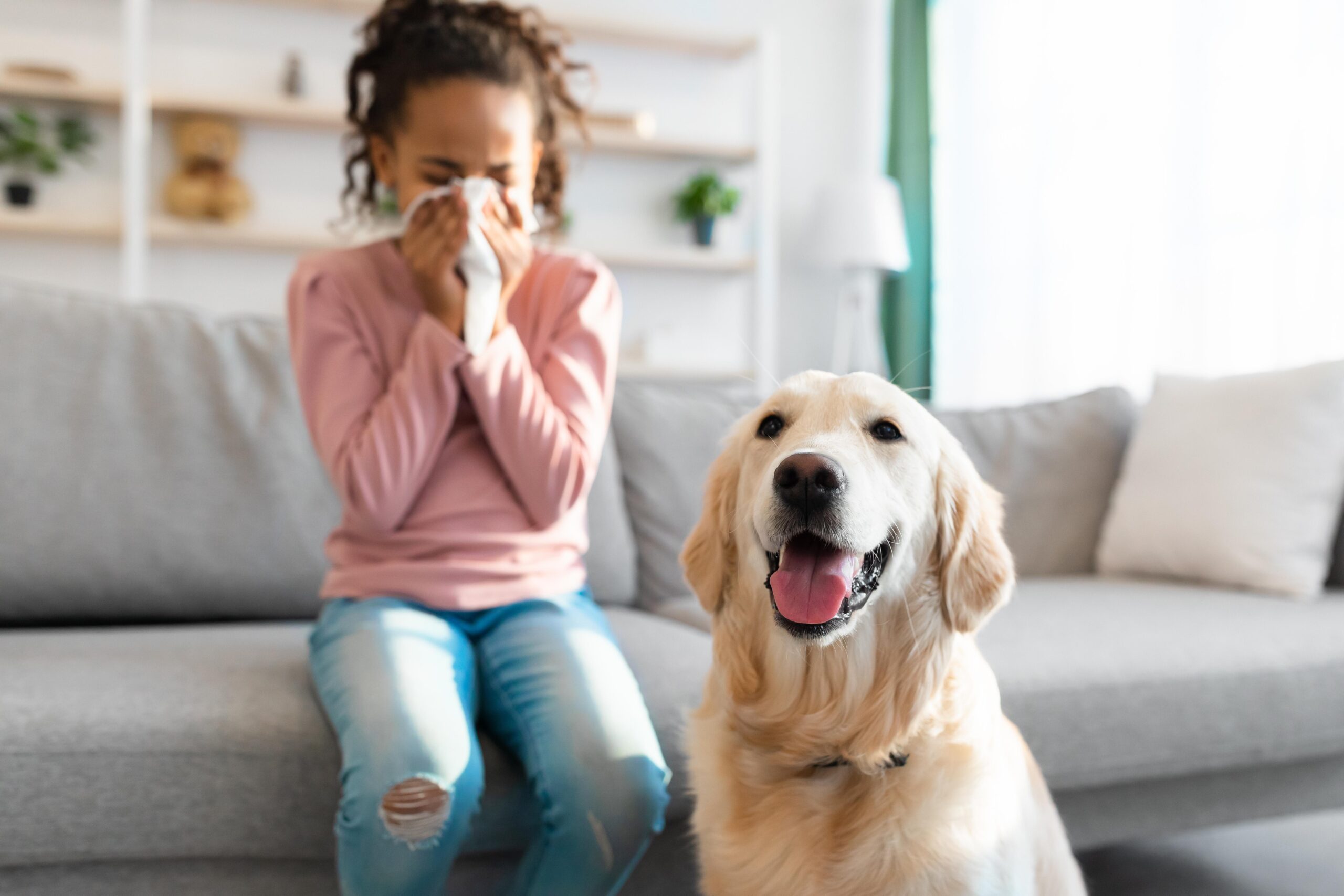 Girl on couch sneezing into a tissue with a smiling golden retriever dog in the foreground.
