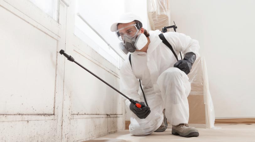 A professional in protective gear using specialized equipment to remove mold from an indoor surface, showcasing the importance of mold remediation.