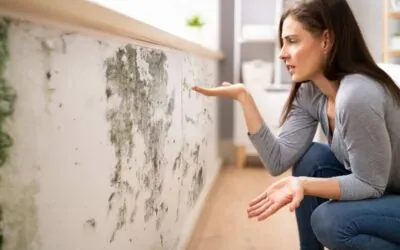 Damp Conditions, Hidden Dangers – Mold-Related Health Risks in Washington