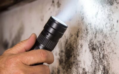 Spring Rainfall and Your Inland Northwest Basement: How Moisture Leads to Mold, Radon, and Insulation Failure